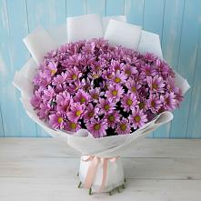 Букет цветов из:  Хризантемы #REPLACE_PRED# Старокорсунской