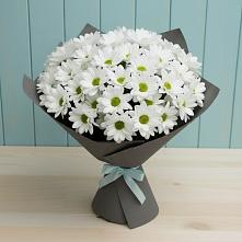 Букет цветов из:  Хризантемы в Старокорсунской