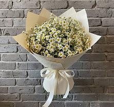 Букет цветов из:  Ромашки в Старокорсунской